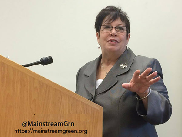Picture of Dana Johnston, Mainstream Green president, at podium